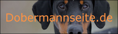 dobermannseite-banner_400x115px